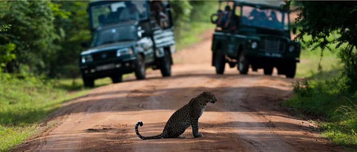 sri-lanka